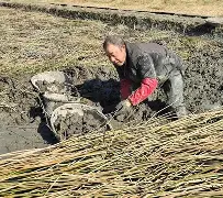 江南官方入口 -希沃ho8ea